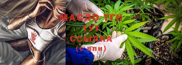 индика Усинск