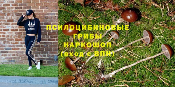 мескалин Елабуга