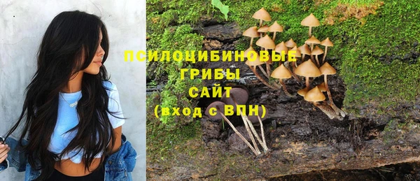 круглые Ельня